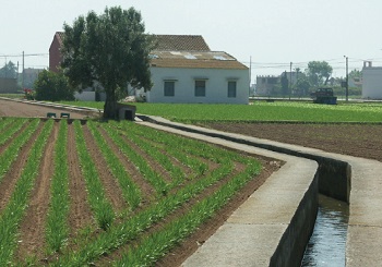 Women have played a key role in the history of l'Horta.